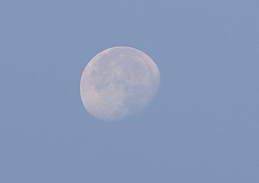 dauphinb's tweet image. Daylight moon over the competition range at the World Spacemodeling Championships in Georgetown, Texas!
#MoonHour #WSMC2023