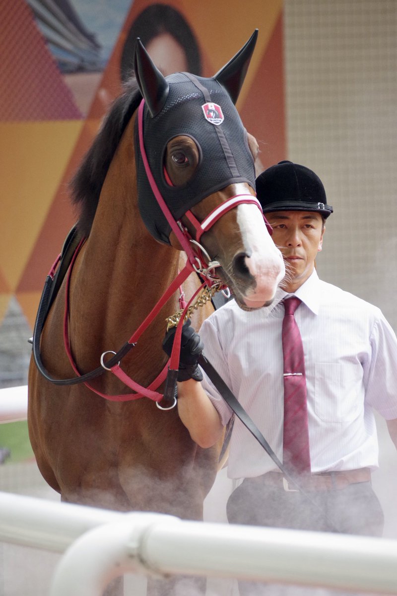 E3%83%AD%E3%82%A4%E3%83%A4%E3%83%AB%E3%83%91%E3%83%BC%E3%83%AB%E3