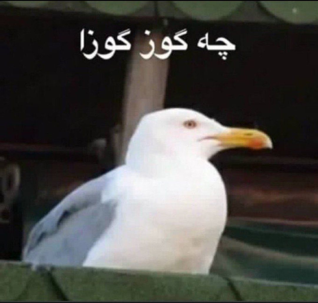 واکنش توییتر به تردز: