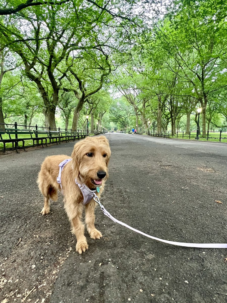 Amar Shere, MD tweet media