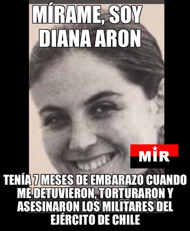 Romo torturador de la DINA, señaló:
“Diana fue ultimada por el capitán Krassnoff cuando ya no podía sacarle ninguna declaración. Krassnoff la agredió con tal brutalidad que le produjo una hemorragia, que todo el suelo quedó con un charco de sangre
hilo: 🧵