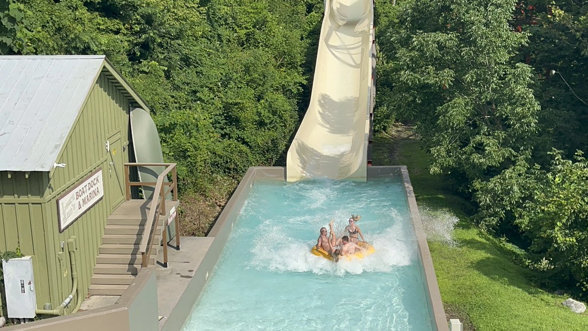 Danna Carpenter tweet media