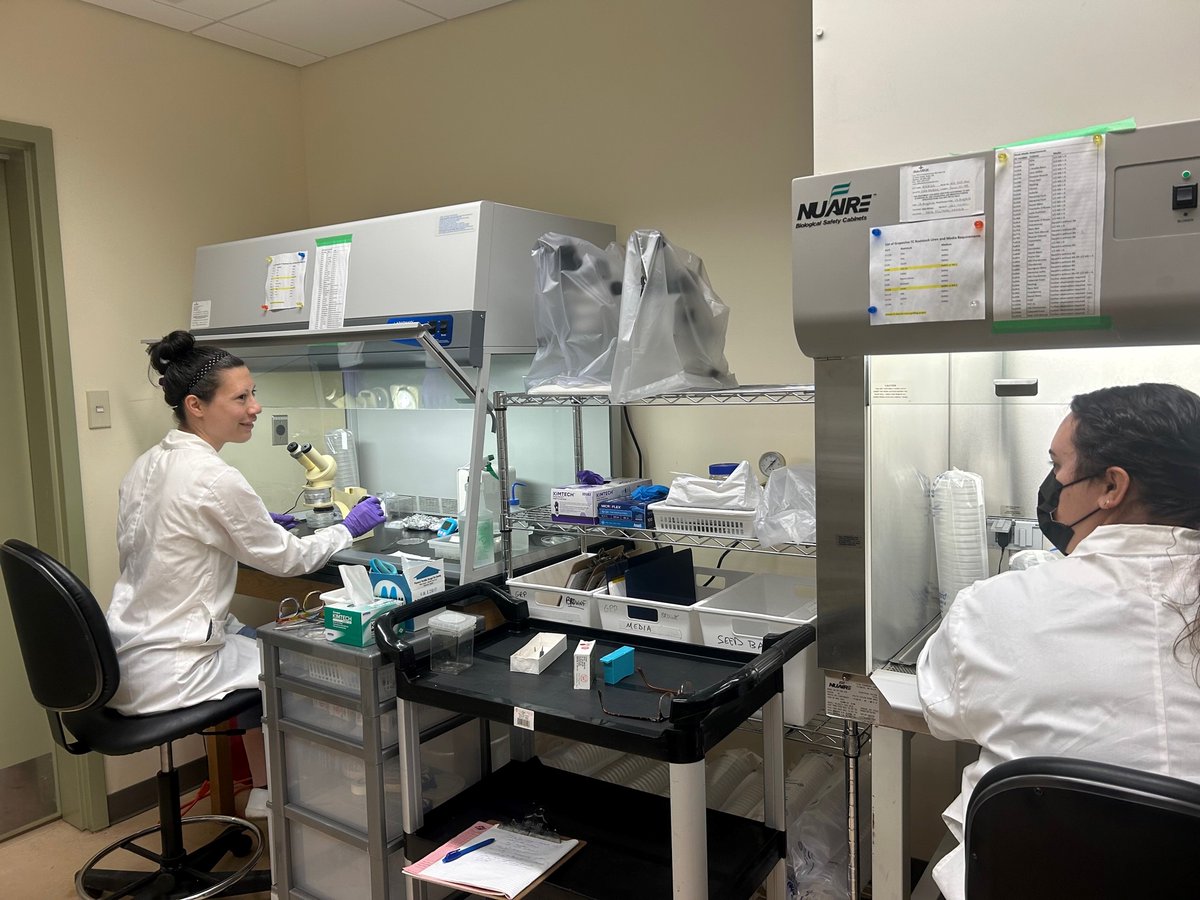 K.C. Irving Centre tweet media