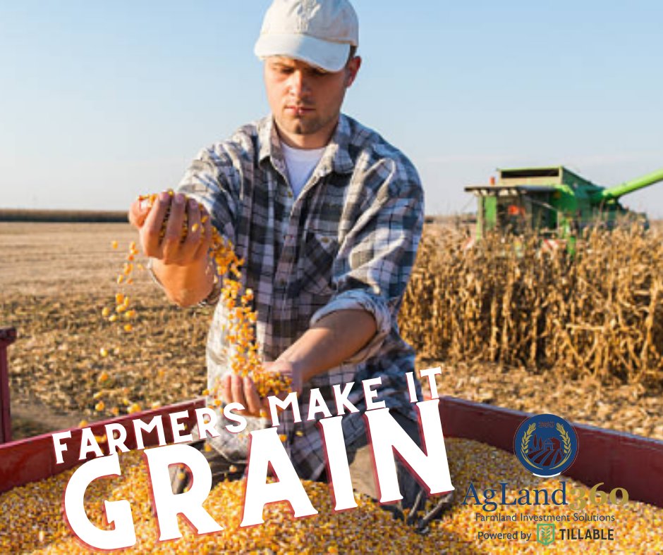 Make it GRAIN! #farmers 
#farmland #farming #farmforsale #aglife #illinois #farmlife