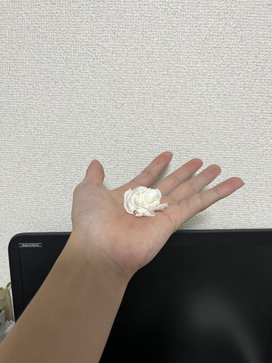 磯海苔を拭いて丸めたティッシュペーパーはあまりにもポップコーンに似ている。 https://t.co/k6KtIq3kLk
