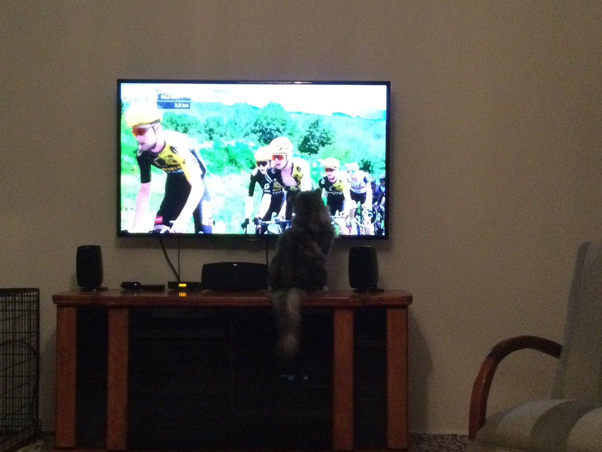 Cheering on Jai Handley from his home town #perthWA #tourcat #sbstdf #couchpeloton