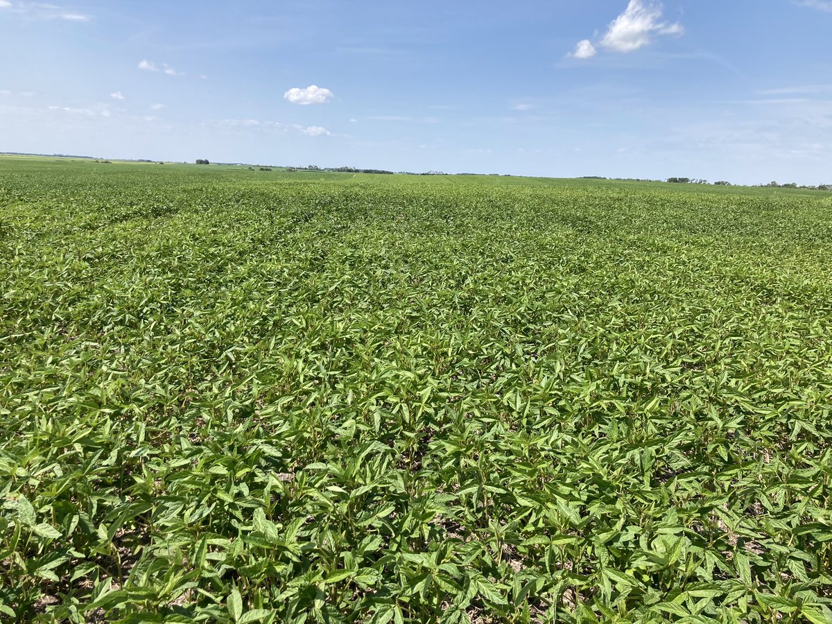 Branden Burns tweet media