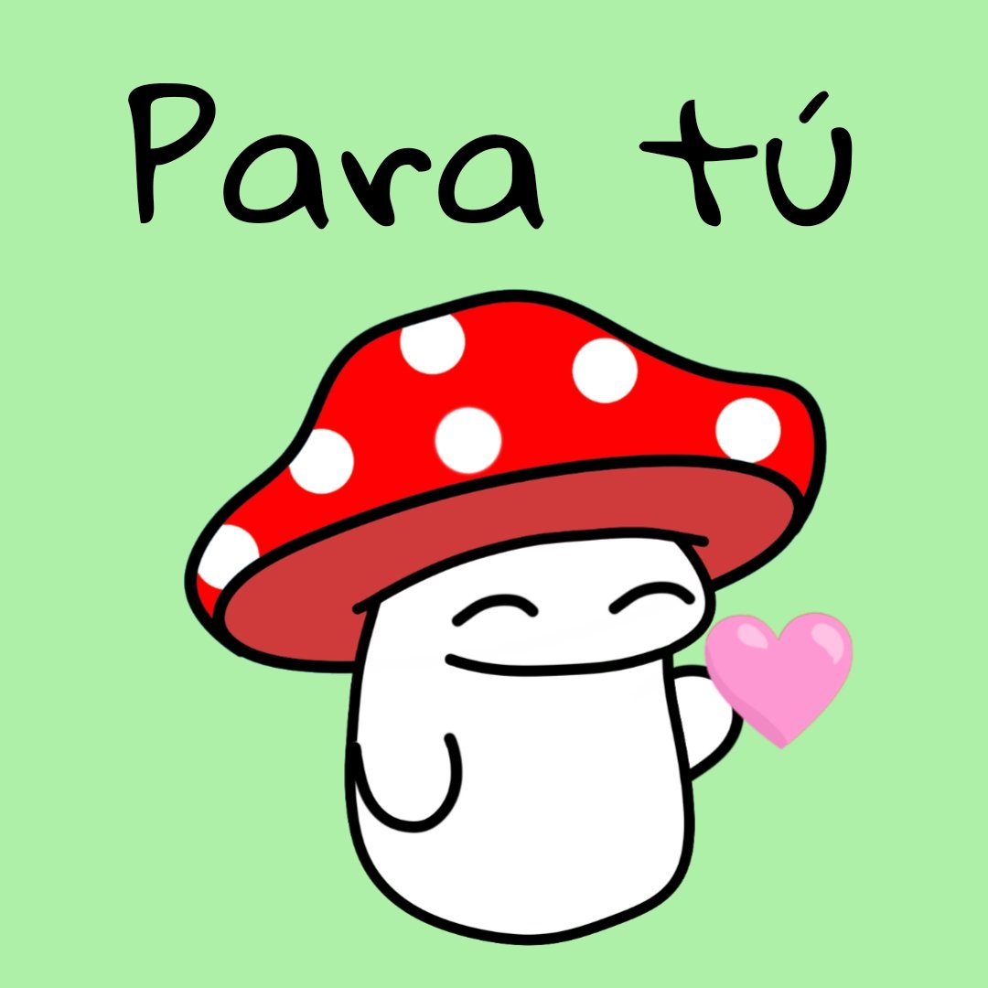 Funguitos (@funguitos) on Twitter photo 