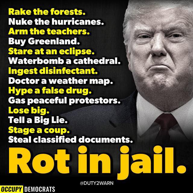 JayeJaybird54's tweet photo. I hope I outlive him so I will have some peaceful days where I don’t have to see him, hear him, read about him, or ever think about him again. He has destroyed the country I love and I will never forgive him or those who continue to support him. #ProudBlue #DemVoice1 https://t.co/xMH88AdJsu