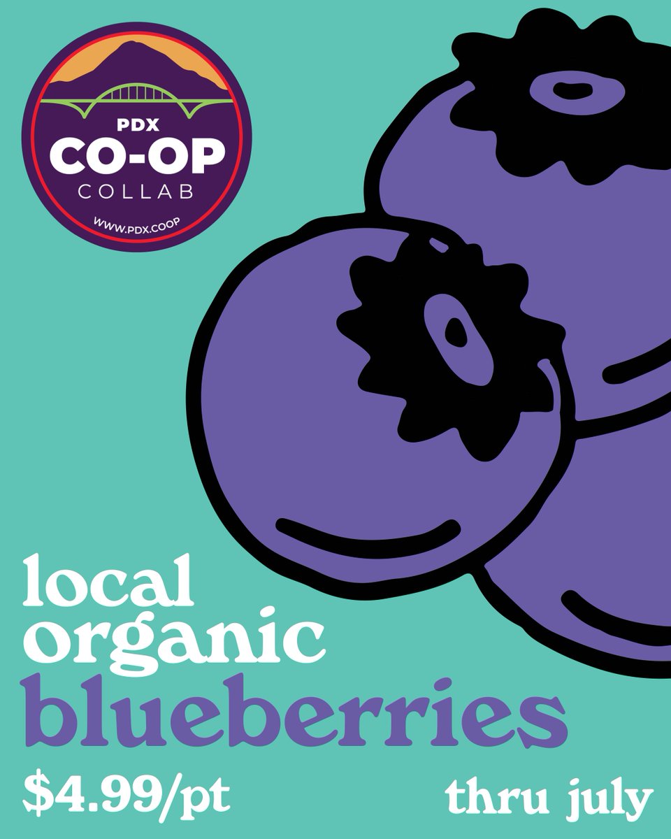 🫐🫐🫐🫐BLUEBERRIES🫐🫐🫐🫐 We've got *tons* of local, organic blueberries from Our Table Cooperative and they'll be $4.99/pint throughout July! Freeze 'em, bake with 'em, eat 'em fresh. 

#OregonBlueberries #cooperation #pdxfood #peoplesfoodcooppdx