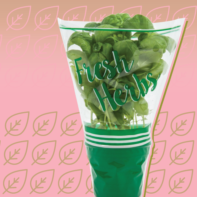 aroocompany's tweet photo. Extend shelf-life and enhance the appearance with Potted Herb Sleeves!

https://t.co/reSPL7MnRi https://t.co/ClnKDFtd9r