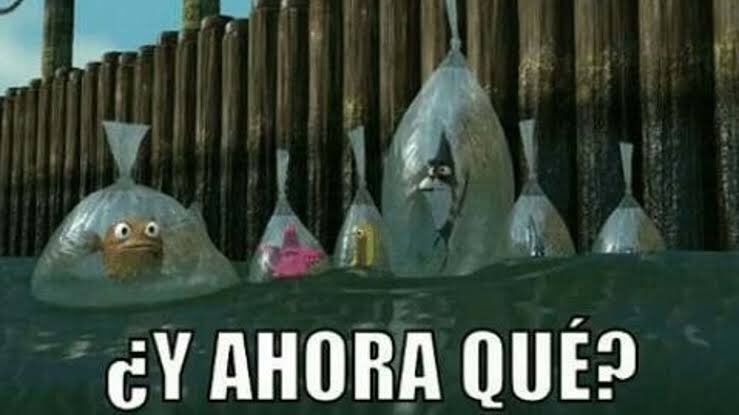 alexisbarraga15's tweet photo. La gente de Instagram corriendo a Threads sin jamás haber usado Twitter. https://t.co/k1VPqoa9n8