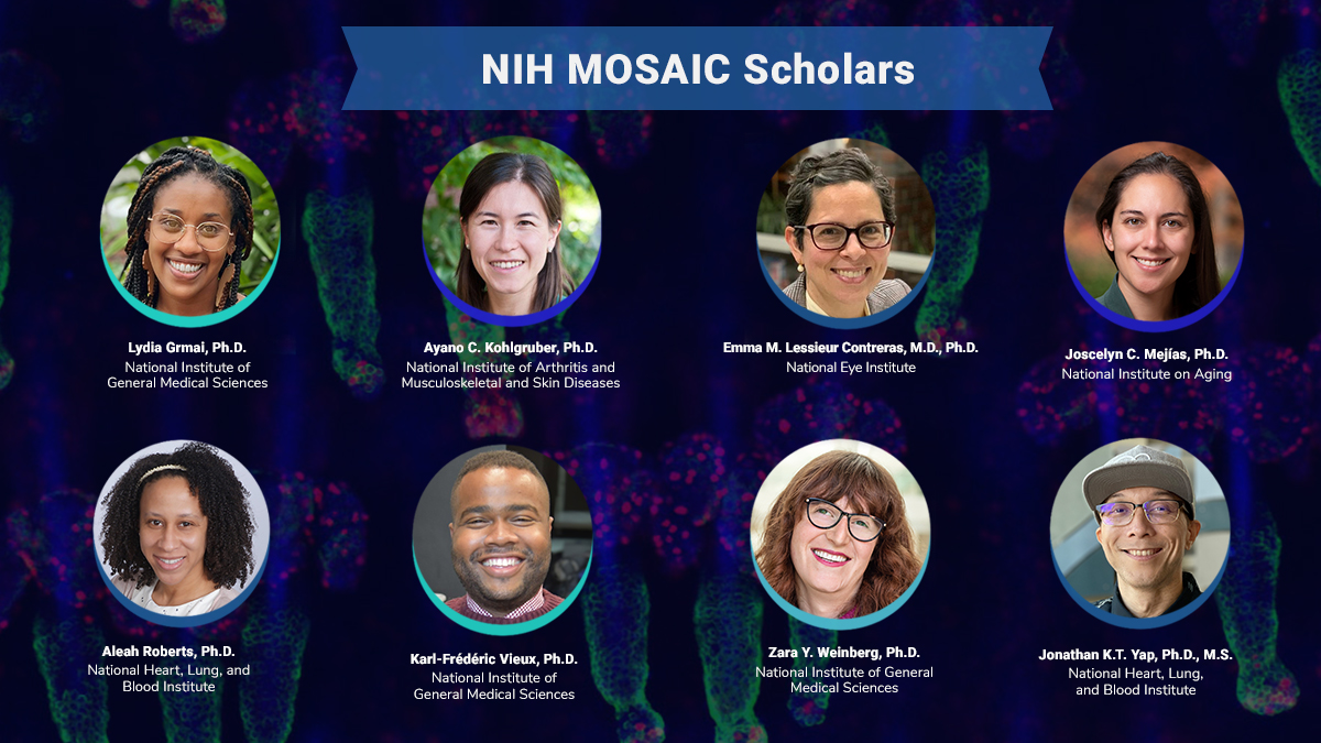 Congratulations to the newest @NIH Maximizing Opportunities for Scientific and Academic Independent Careers (MOSAIC) scholars supported by @NIH_NIAMS, @NatEyeInstitute, @NIHAging, @nih_nhlbi, and NIGMS! #NIHMOSAIC go.nih.gov/Xu76wx5