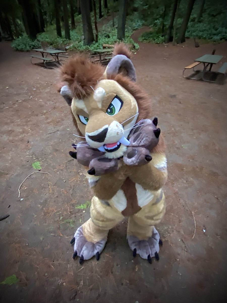 POV: u just called this kitty cute 😘