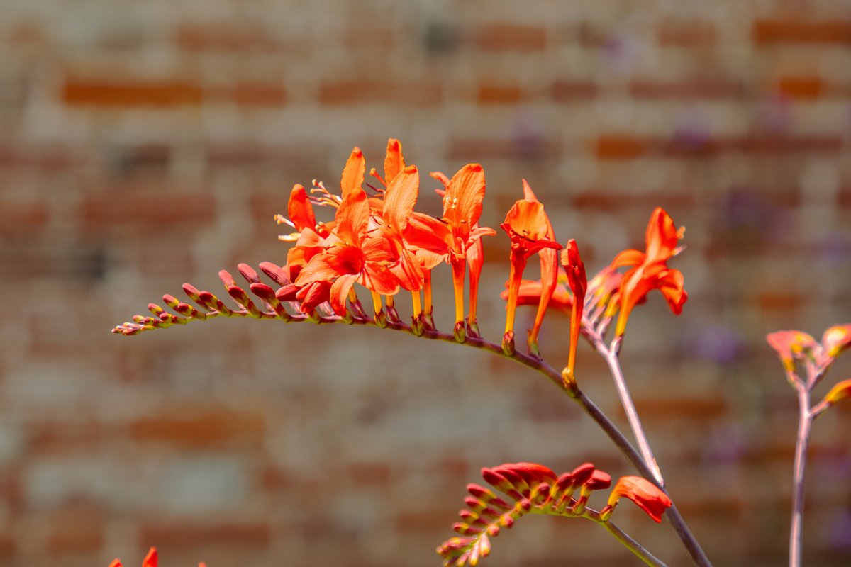 National Trust tweet media