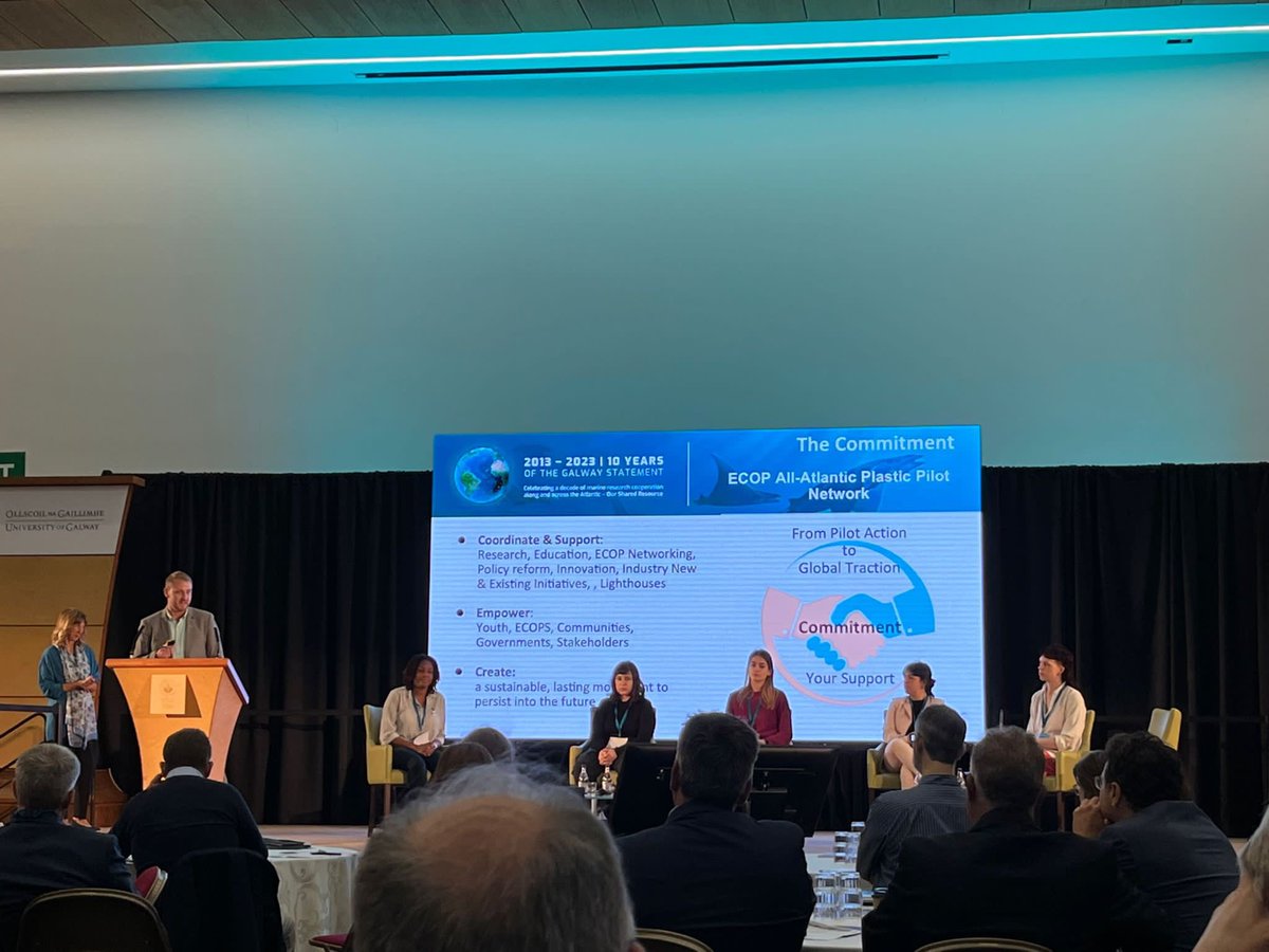 Mafalda de Freitas tweet media