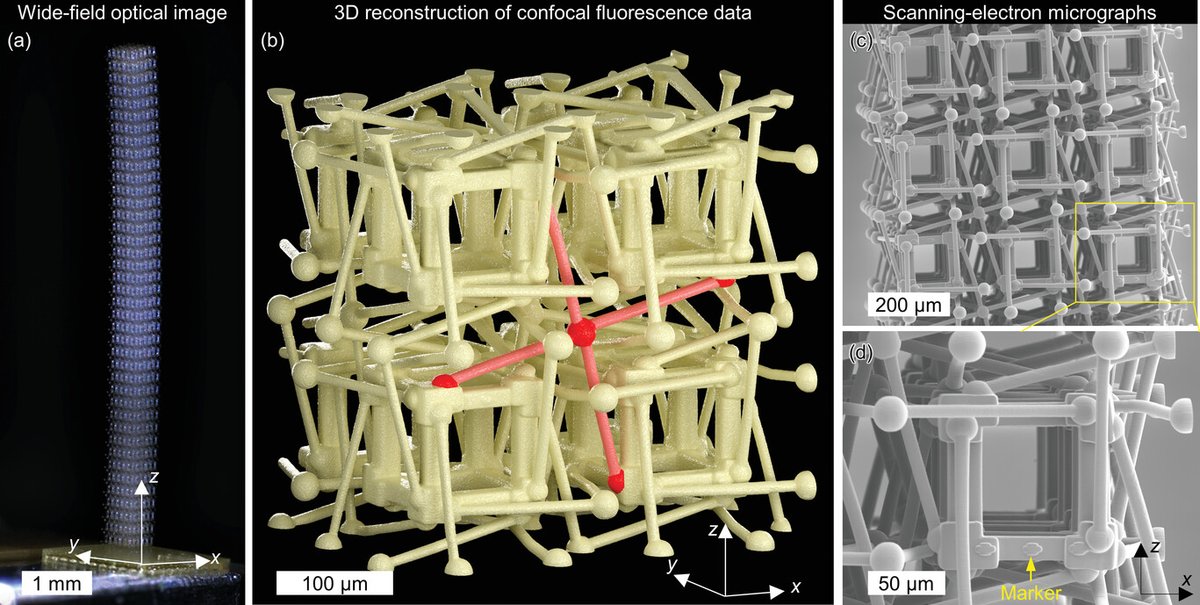Cluster3DMM2O's tweet photo. In a new Cluster publication the group of PI Martin Wegener designed &amp; 3D laser printed chiral #micropolar #metamaterials exhibiting roton-like #dispersion relations of the lowest #phonon band specifically resulting from #chirality for the first time! 👉 https://t.co/DxCJy8wx0A https://t.co/9fnaRiYWEf