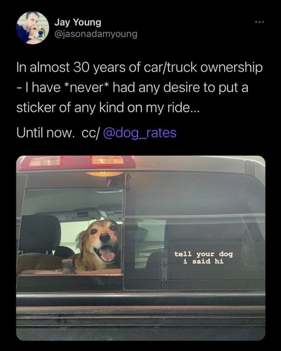 WeRateDogs tweet media