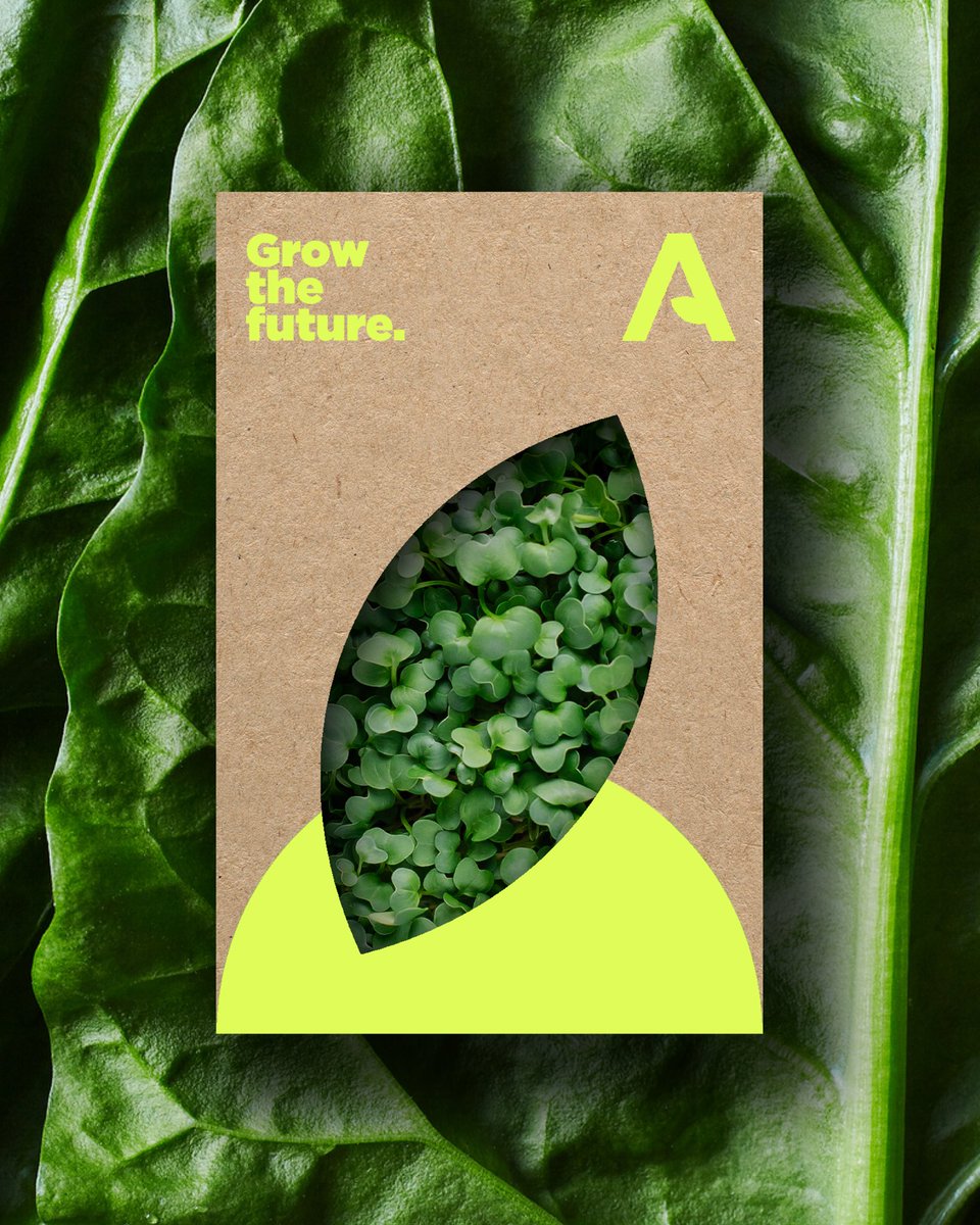 ConfeddeLab's tweet image. Ample Farms ©️ Capsule 2023

Developed to provide non-GMO, vegan-certified microgreens for the local hospitality, grocery, and food service industries, our visual system was created to be equally effective in both the B2B and B2C markets. 

#branding #visualidentity #confedde