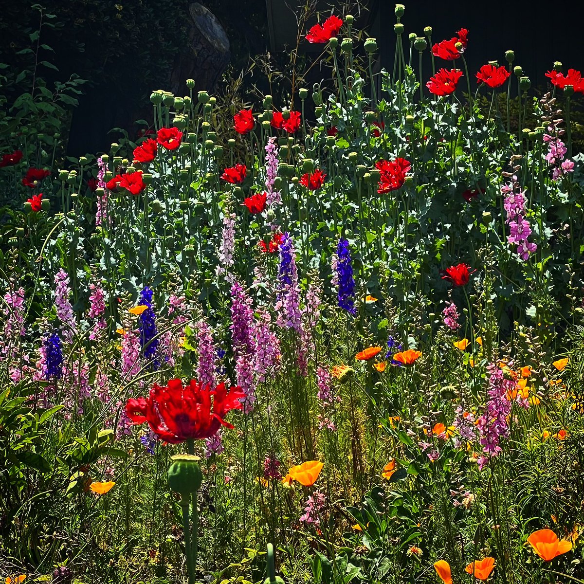 Heather Schoell - On LinkedIn / IG tweet media