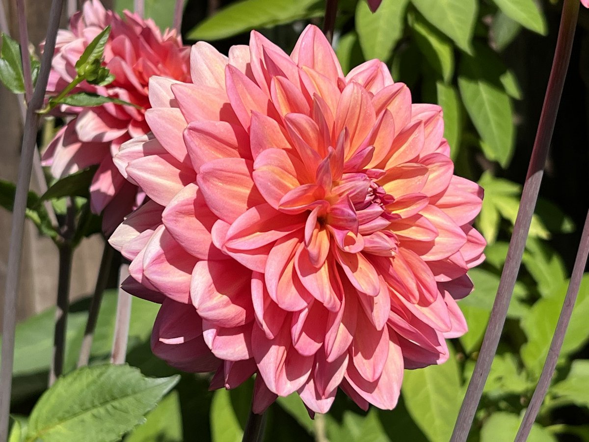 Heather Schoell - On LinkedIn / IG tweet media