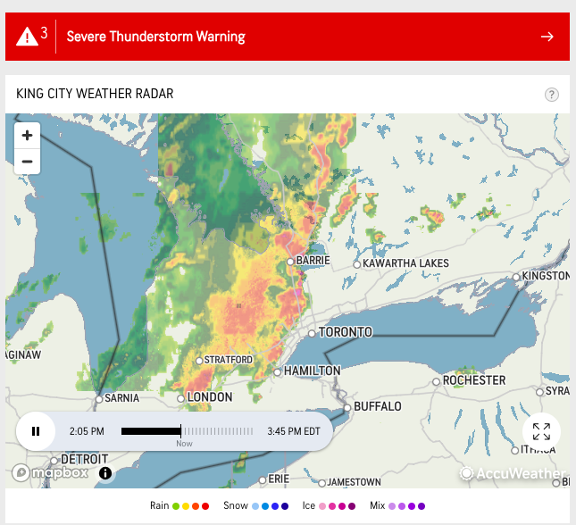 davidpleonard's tweet image. Seems like I didn't need to water the garden today? #dlws