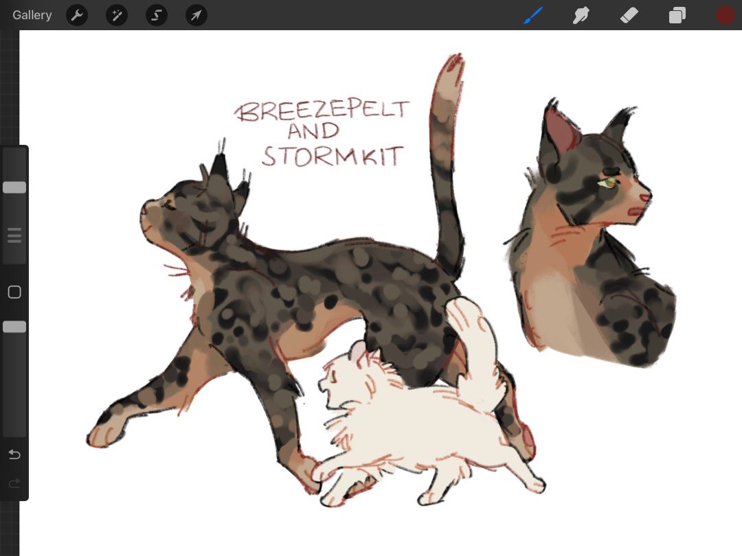 dodieduu's tweet photo. wcue ocs … breeze is @blondedlvfe ‘s character, and storm is mine!!

first ever post umm what am i doing 🤓
#warriorcats #wcue #fanart https://t.co/sBJafTZFkp