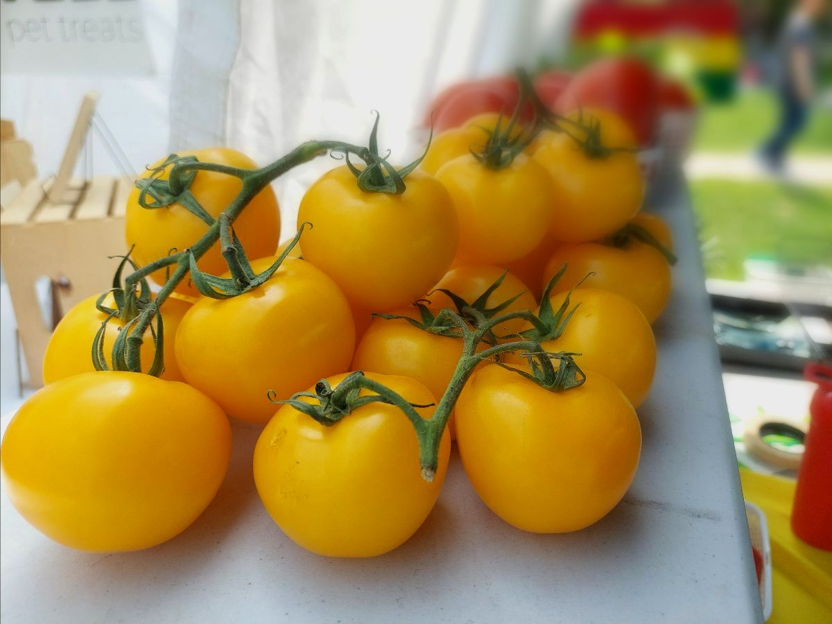 Withrow Market tweet media