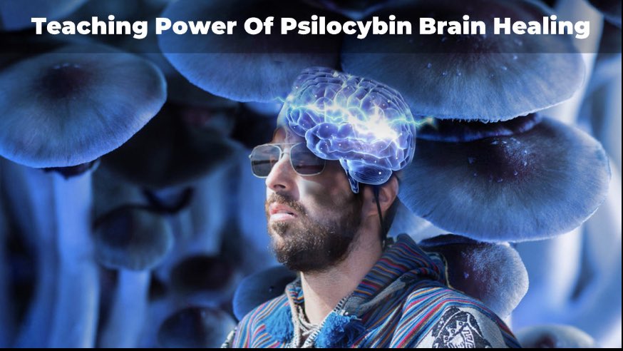 ALilslowpoke's tweet photo. @MasterPMiller connect with me. Braininjury was past, psychedelics + my inspirational show + music are future ; #colaborate https://t.co/ZljUi4Cg4J
