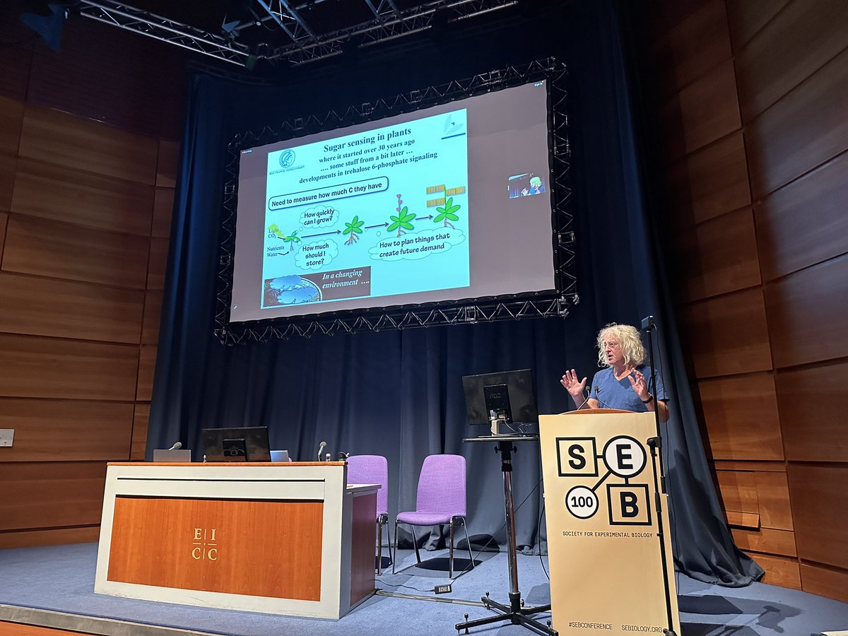 Diana Santelia tweet media