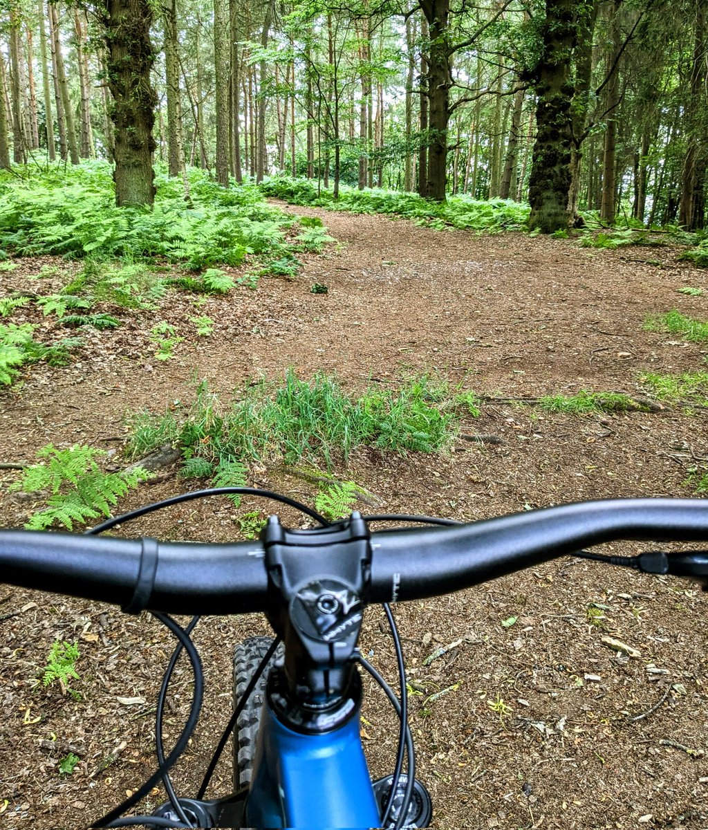 CloudBusiness9's tweet photo. The great thing about #ebikes is that even if your fitness takes a knock as in my case as I recover from a virus, you can compensate by increasing the power assist. Great to be out on the #mountainbike again tonight in the forests of #Staffordshire #ebike #whytebikes https://t.co/gt17Wtlvu2