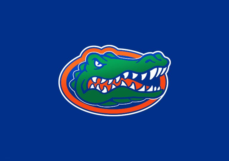 Blessed to receive an offer from the University of Florida @CoachJuluke @GatorsFB @Coach_bnapier