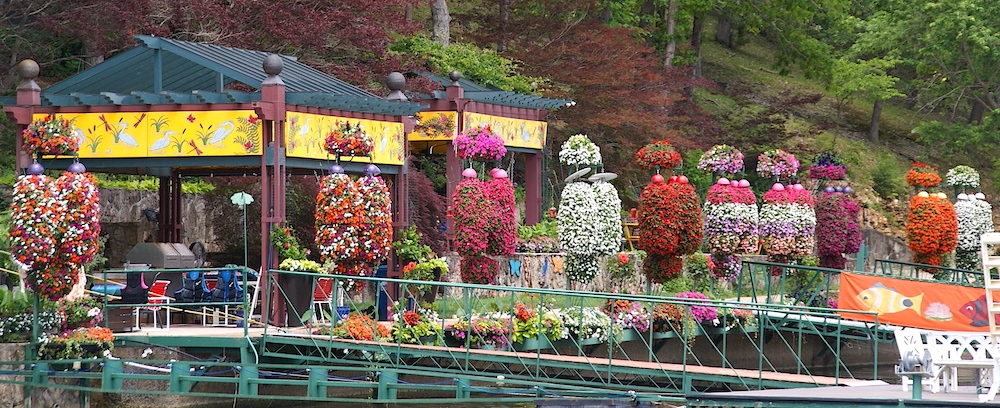 Flower Cove on Lake of the Ozarks is a magical cornucopia of flowers, colors, and design on the shores of Lake of the Ozarks on the Grand Glaize Arm. 

https://t.co/kNFnz6L2eY

https://t.co/79e1A8xyW7

@ifwtwa1 @ifwtwa @satw @lakeoftheozarks  #flowercove https://t.co/olO5APbx89