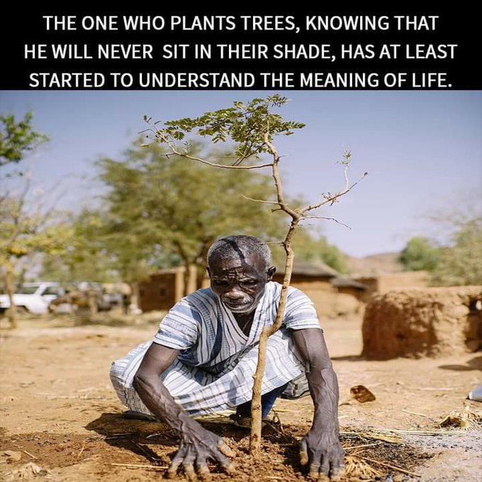 Greenisamissio1's tweet image. Night thoughts  
We must finally understand that we are only temporary guests here and should leave the world better than we found it❤️💙💚🐝🐦🌿🌱☘️🌳🌲🍀💚