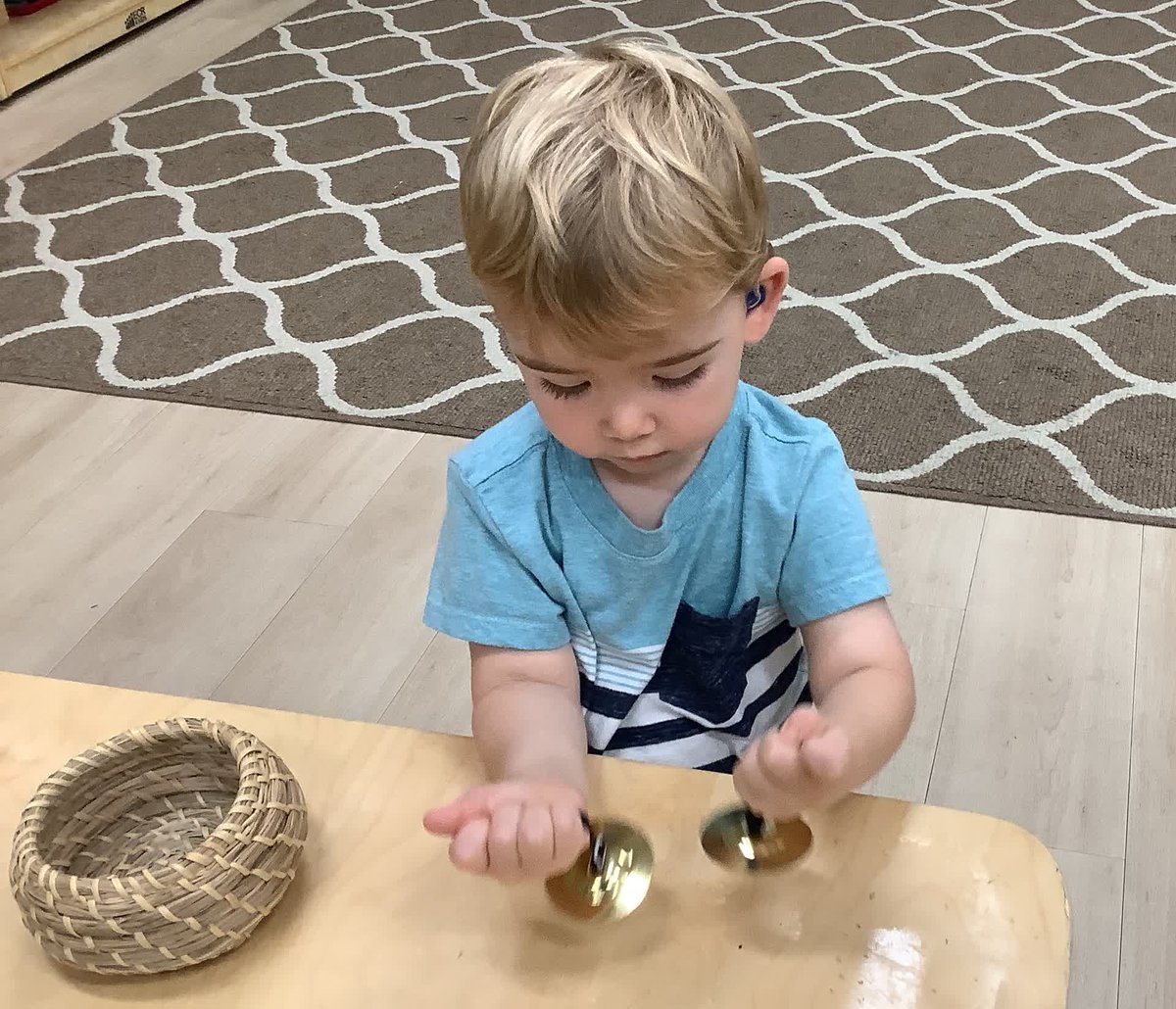 Villa Montessori Leesburg tweet media