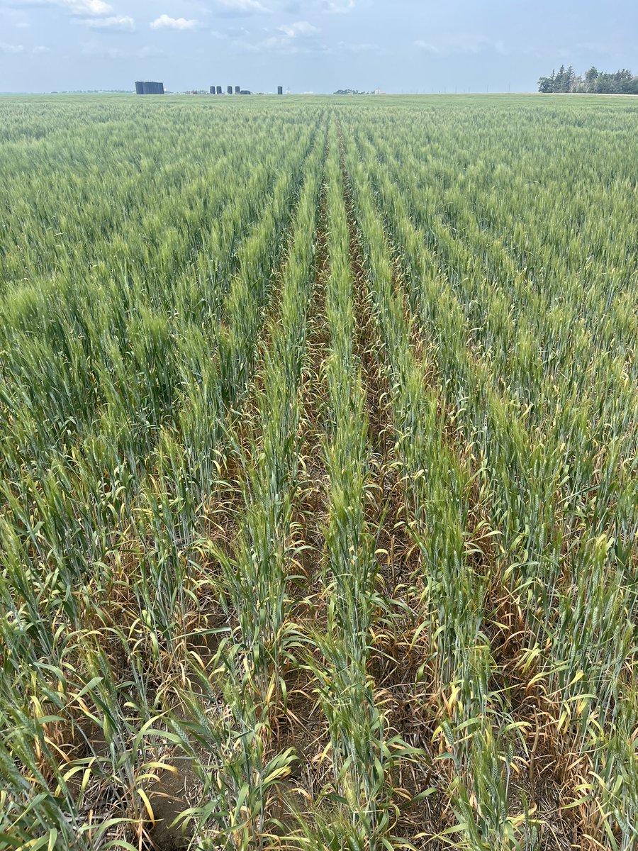 Mike Palmier tweet media