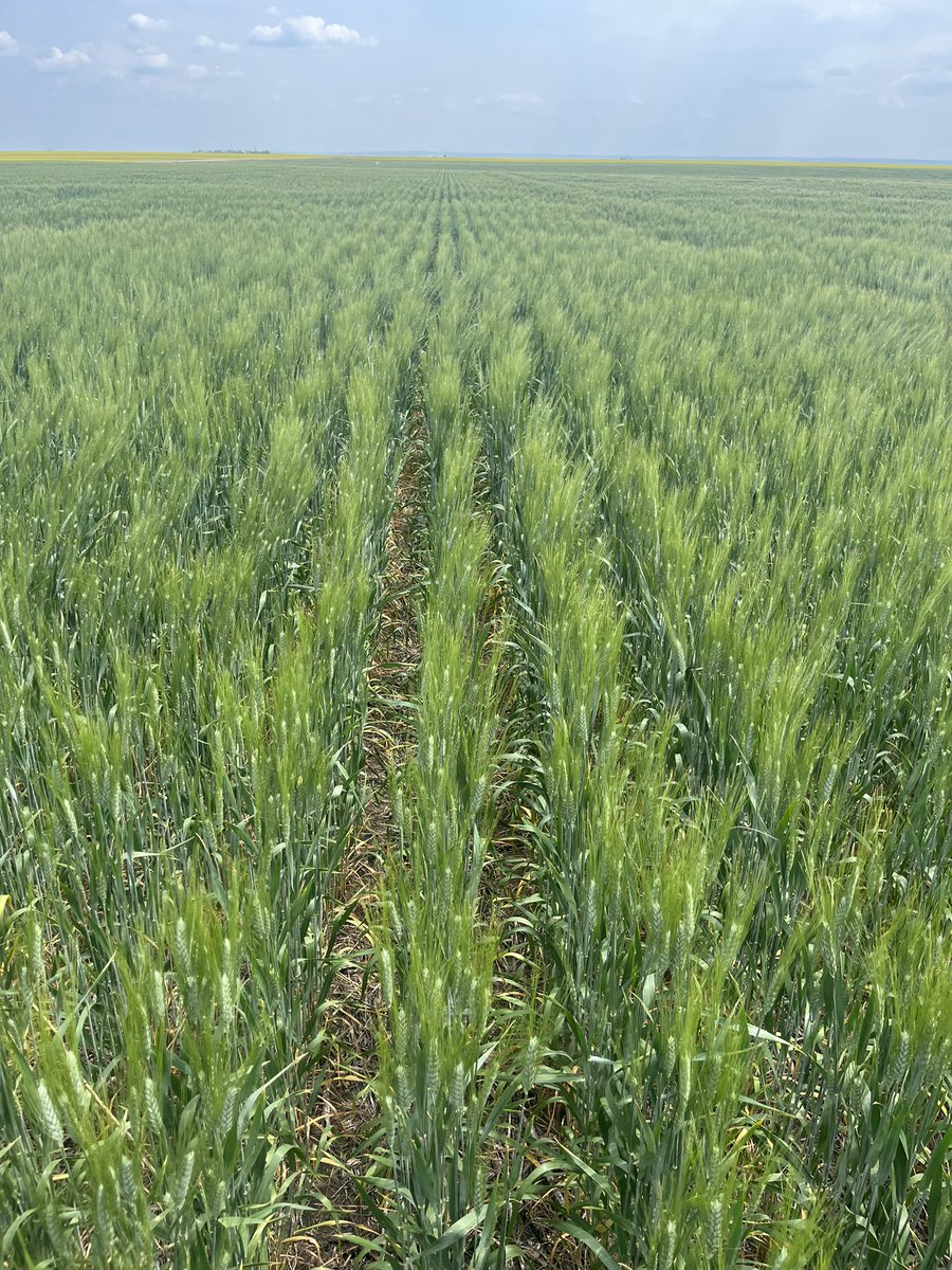 Mike Palmier tweet media