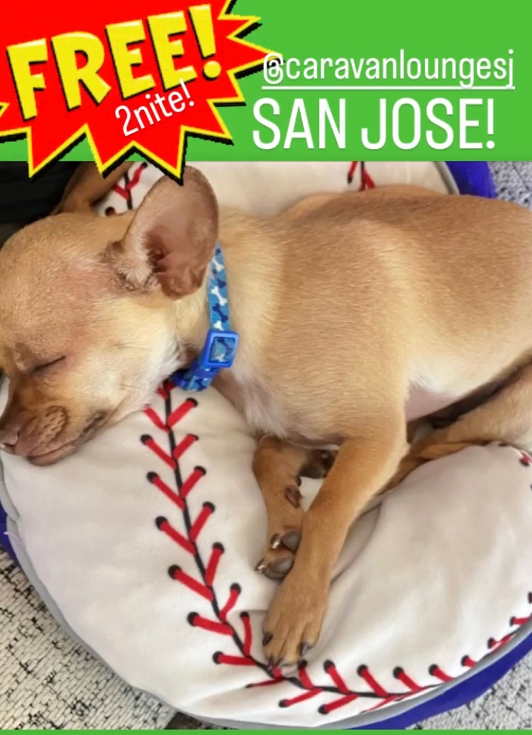 jon_snodgrass's tweet photo. Free TONITE! San Jose! 
w/ Darius Koski &amp; Jay Nothington

then 
FRI Santa Rosa LOST CHURCH 

SAT Santa Cruz CREPE PLACE

SUN  ALBANY at IVY ROOM
+🌞⚾️ 

all w/ Darius of Swingin Utters
at https://t.co/24SySkXGAc 
-Linclon Bio 

#isupporttheladsoutontheroad ✌️💜⚾️🎵 https://t.co/N6v9DPJkDE
