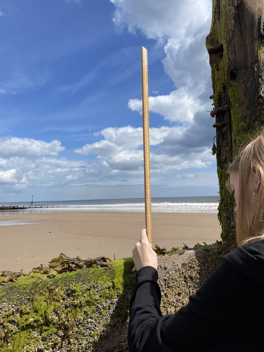 lawnswoodschool's tweet image. #GCSEGeographers have been working hard during their field trips to the coast - they just had time for a lunchtime game of football #GeographyRocks #fieldwork #curiosity