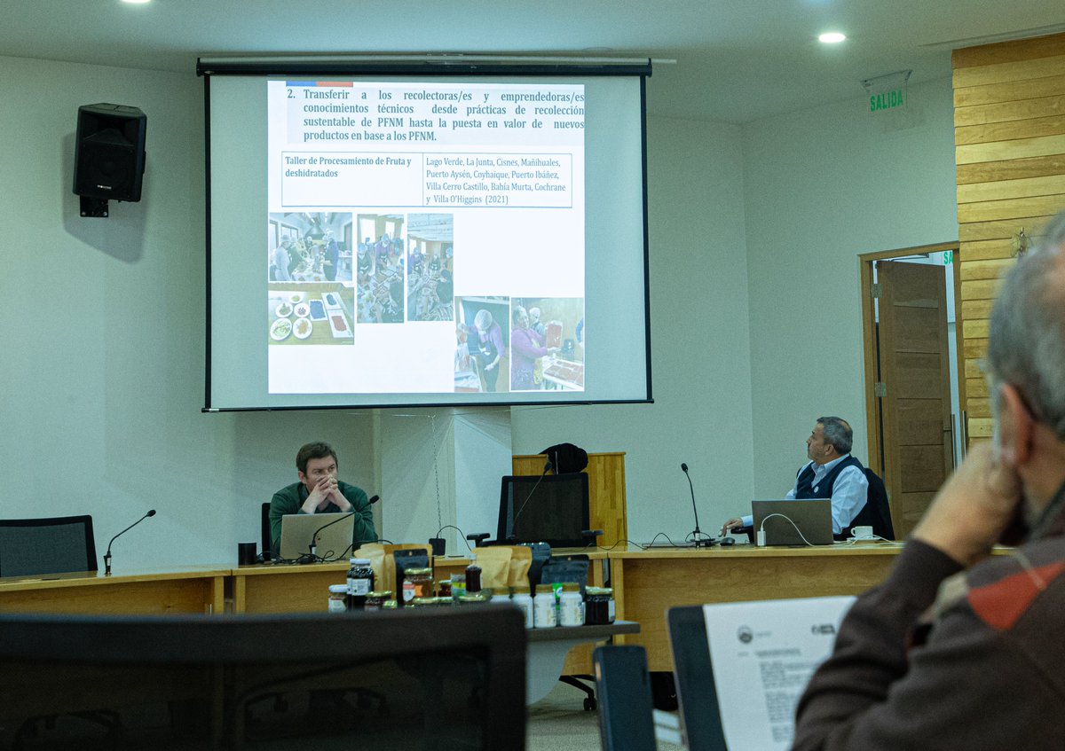 MinagriAysen's tweet photo. Seremi @alanEspinozao junto a equipo de @INFOR_sedePatagonia presentan los avances del programa #ProductosForestalesNoMadererosapoyado por  @goreaysen_ que articula a 85 recolectoras/as buscando consolidar emprendimientos y diversificar la agricultura familiar campesina de #Aysén https://t.co/L4Q6cI8kL2