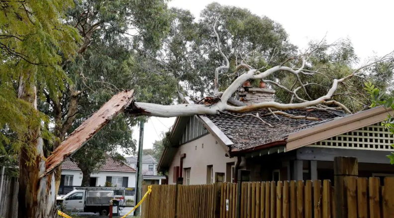 RealEstateBR's tweet photo. Get in the know about how (or if) #homeowners #insurance covers tree trimming. #REtips  https://t.co/zB4L0xY1Yt https://t.co/XdCxm8ieys