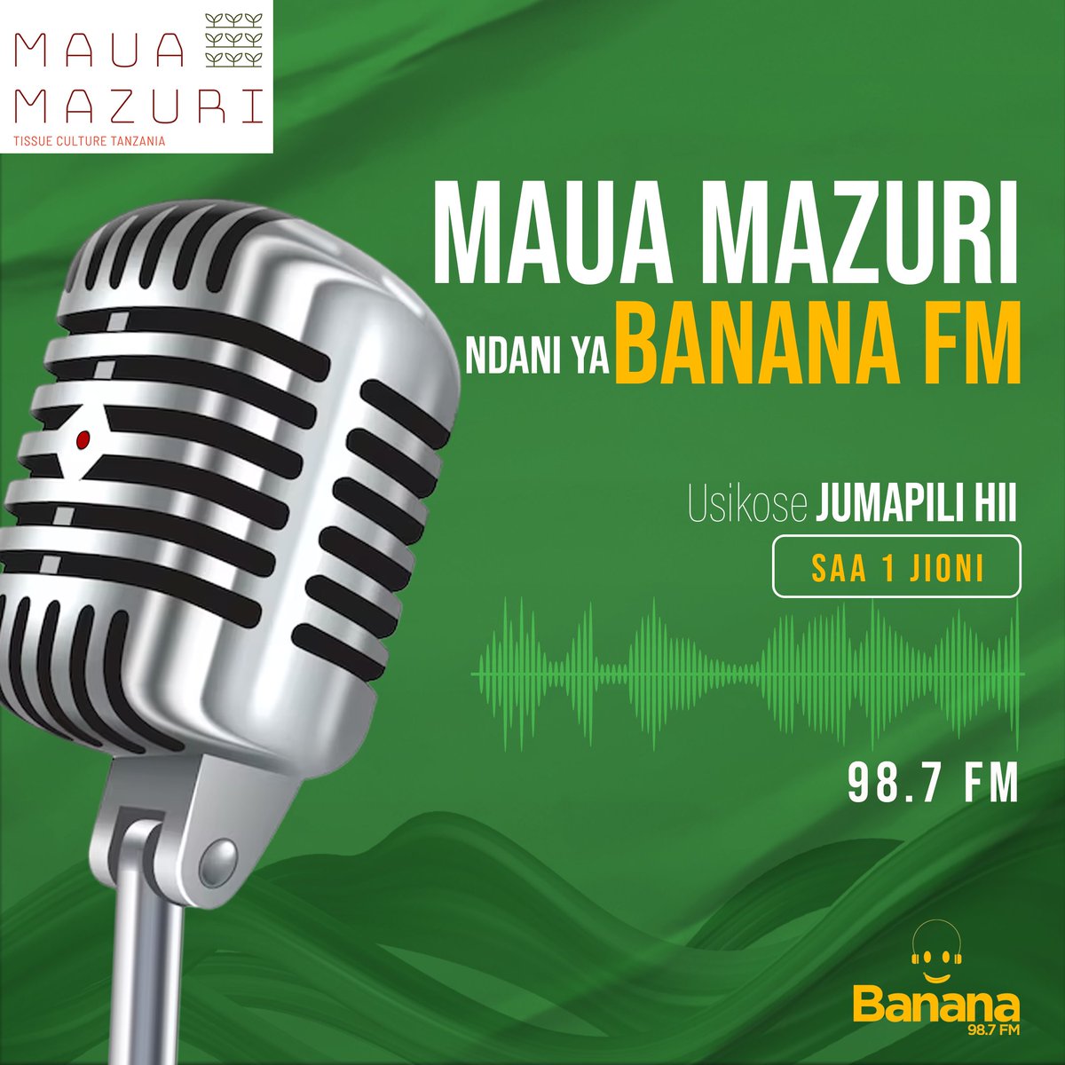 mauamazuri_tz's tweet photo. Kutana nasi Banana FM Jumapili hii ya tarehe 9/7/2023 tukujuze kuhusu kilimo cha Ndizi na Mboga Mboga.
Karibu Sana Maua Mazuri!
#tissueculture #ndizi #micheyamigomba #kimalindi #bananabusiness #kilimobiashara #mzuzu #seedlings https://t.co/pBNQgUhdlZ