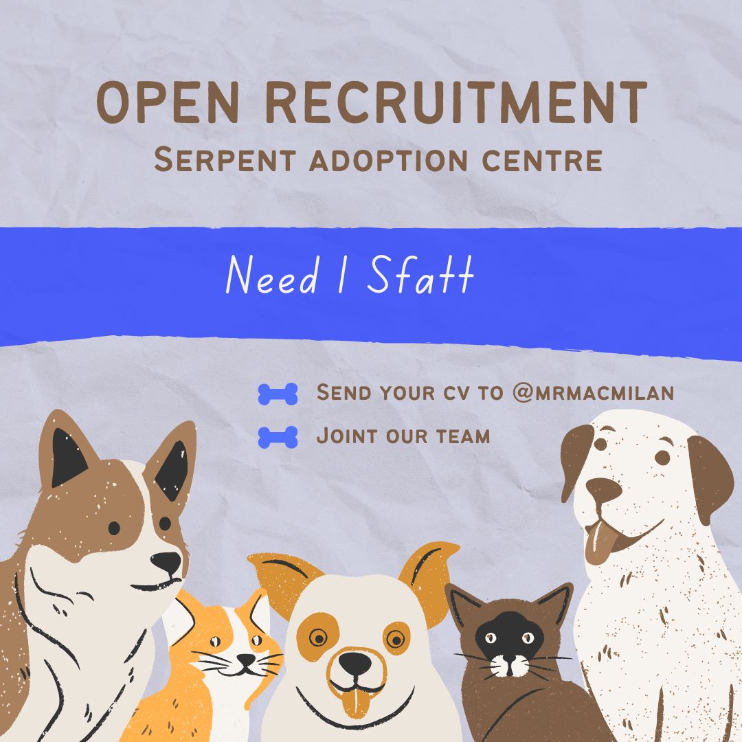 ㅤ

       ( OPEN RECRUITMENT ) 
              
      Serpent's Adoption Centre
              Need 1 Staff

    📅  12th July 2023
    📞  <a href="/MrMacmilan/">Ernest</a>
    🖇 justpaste.it/RecruitSerpent

ㅤ