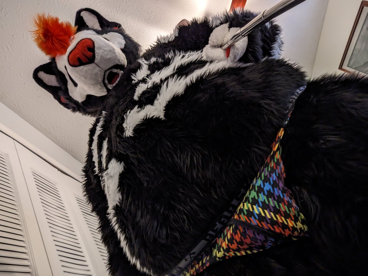 KnotTeska's tweet photo. Figured I'd join the #dadbod #chubby #bear posting... Have some fluff for your time line, now bury that muzzle ;3 https://t.co/Hm4Fzro7Ej