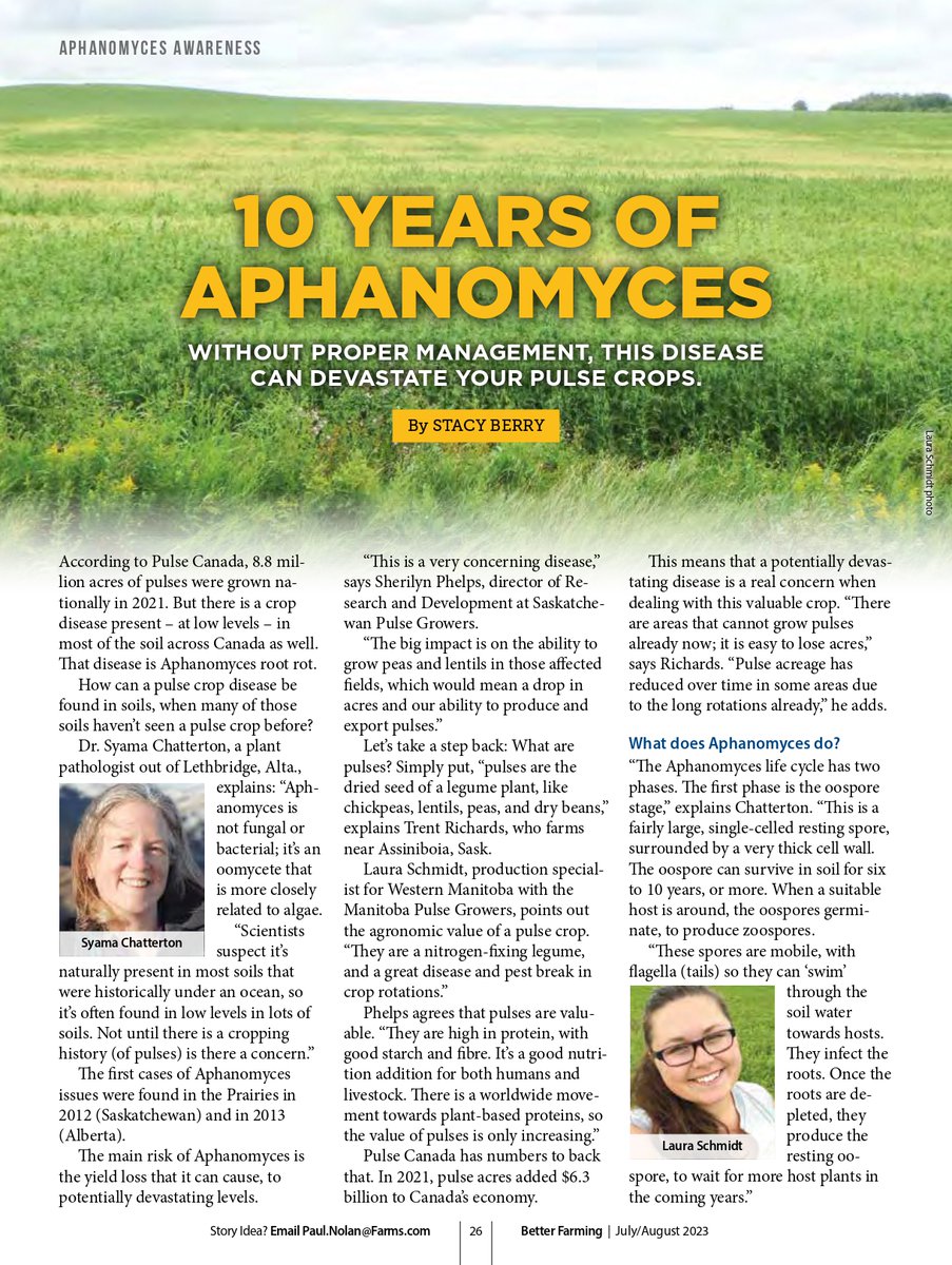 Better Farming | The Business of Prairie Ag (@prairiefarming) on Twitter photo Aphanomyces has been found in the Prairies for 10 years now. How has it affected pulse growers in Western Canada?
<a href="/syamachat/">Syama Chatterton</a>, <a href="/CtmRichards/">Trent richards</a>, and others share their insight into the crop disease.
betterfarming.com/flippingbook/b… Aphanomyces has been found in the Prairies for 10 years now. How has it affected pulse growers in Western Canada?
<a href="/syamachat/">Syama Chatterton</a>, <a href="/CtmRichards/">Trent richards</a>, and others share their insight into the crop disease.
betterfarming.com/flippingbook/b…