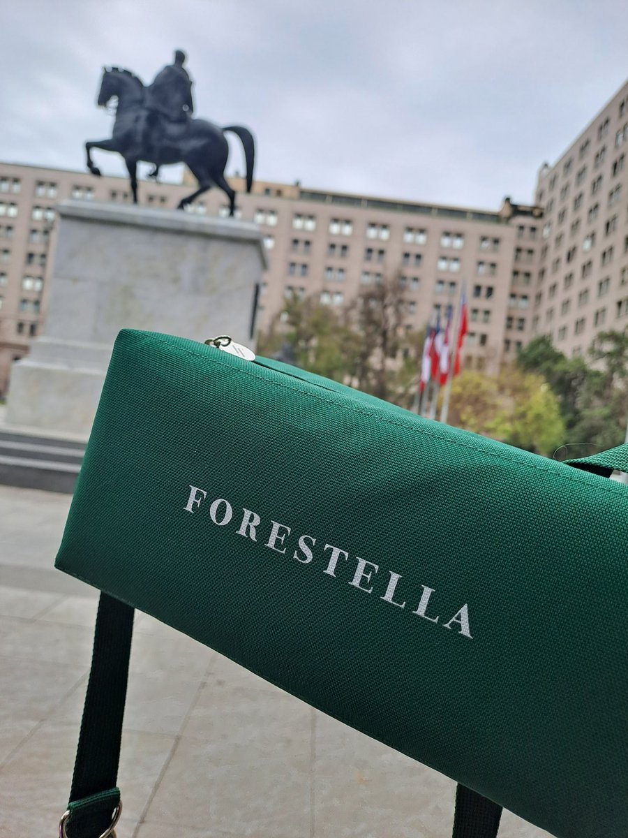 Lore~🌸 tweet media