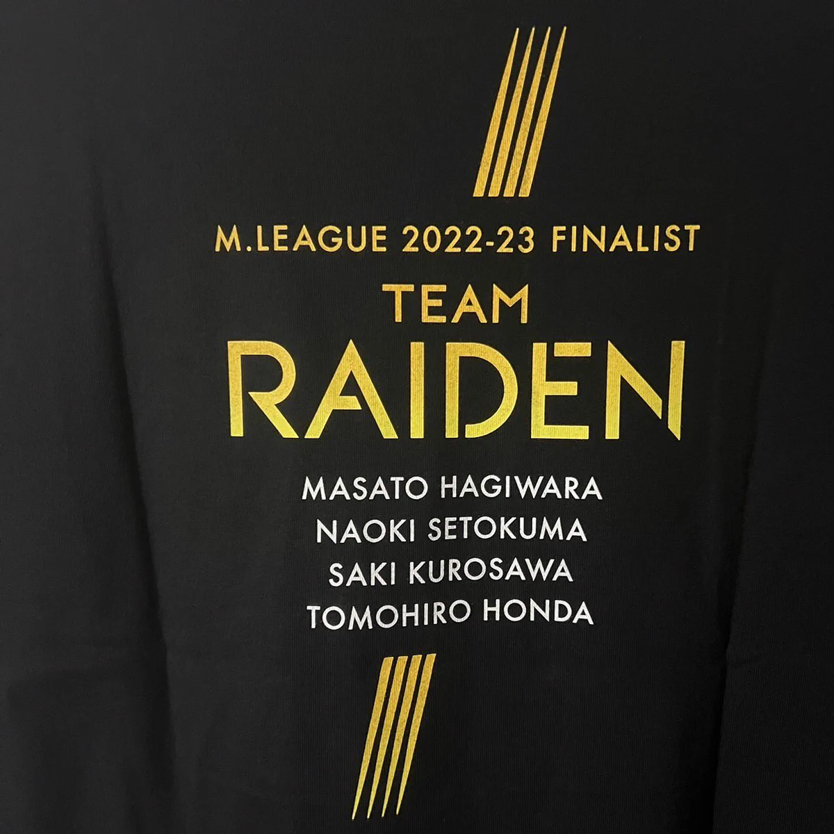 TEAM RAIDEN／雷電【公式】⚡️ on X: 