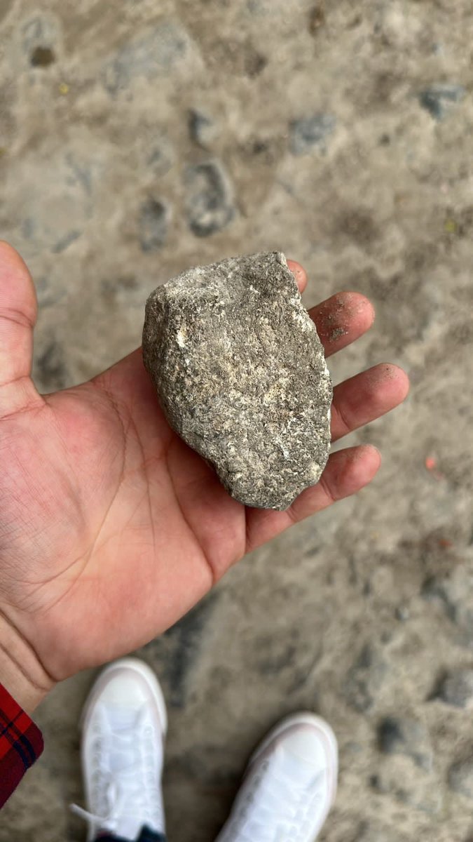 Kary_TorresM's tweet photo. #JusticiaParaTommy Era solo un peludito de 15 cm que no dañaba a nadie, su único error estar donde esté malparido le lanzó una piedra más grande que el tamaño de su cabecita https://t.co/huVAKvhpaP