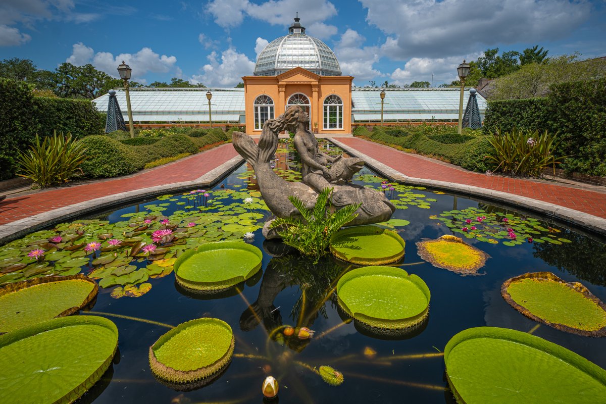 DestinationGNO's tweet photo. .@NOCityPark  encompasses 1,300 acres and offers an array of activities like an amusement park, botanical garden, two museums, two golf courses, wedding venues, tennis courts, &amp; space to just chill.  Learn more about everything New Orleans has to offer on https://t.co/7C2NWy1C18! https://t.co/2jjNLLNhZK