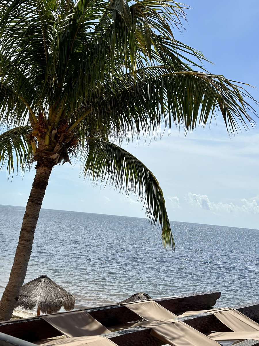 sblasi21's tweet photo. Cozy 🏝️ https://t.co/HG2oD8Ezsv